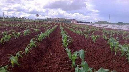 3eb48c8413fda0261514678cdff9cd18.jpg 3eb48c8413fda0261514678cdff9cd18.jpg